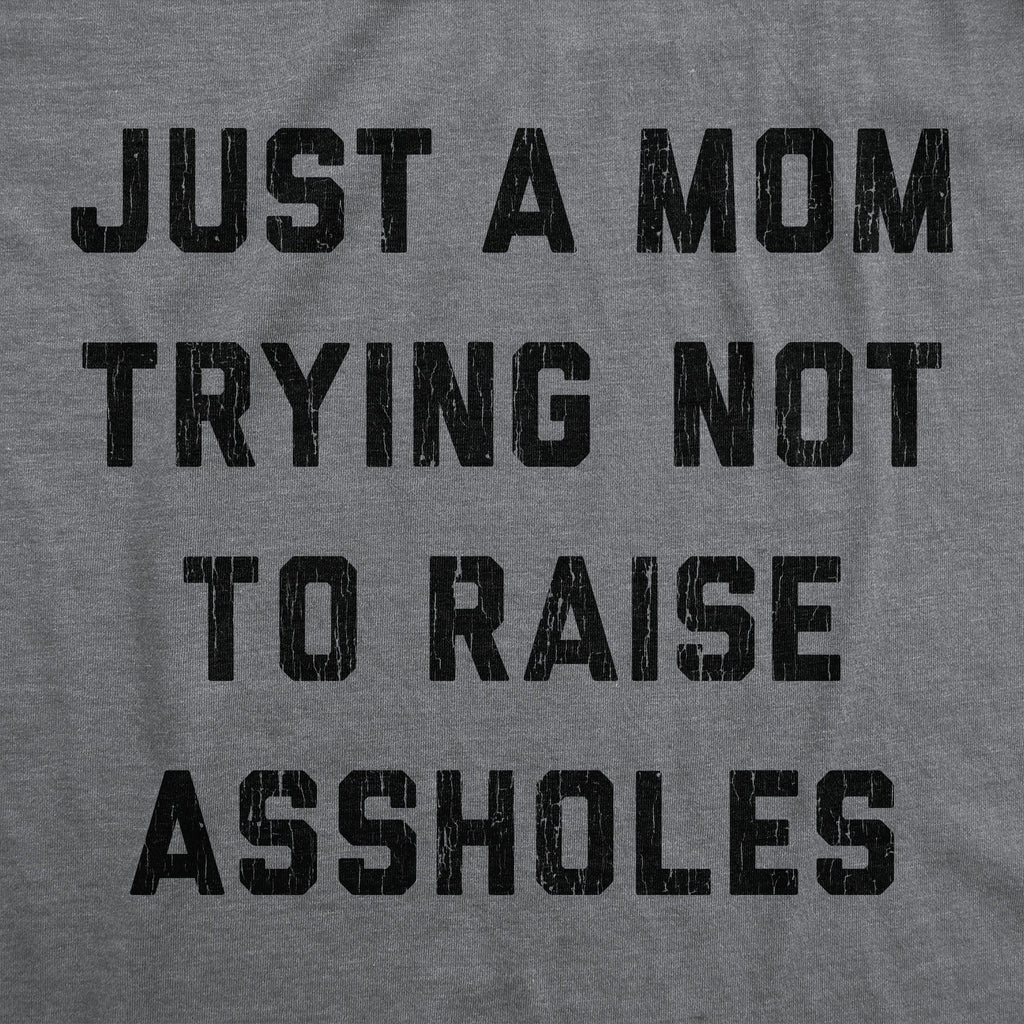 Just A Mom Trying Not To Raise Assholes Women's T Shirt