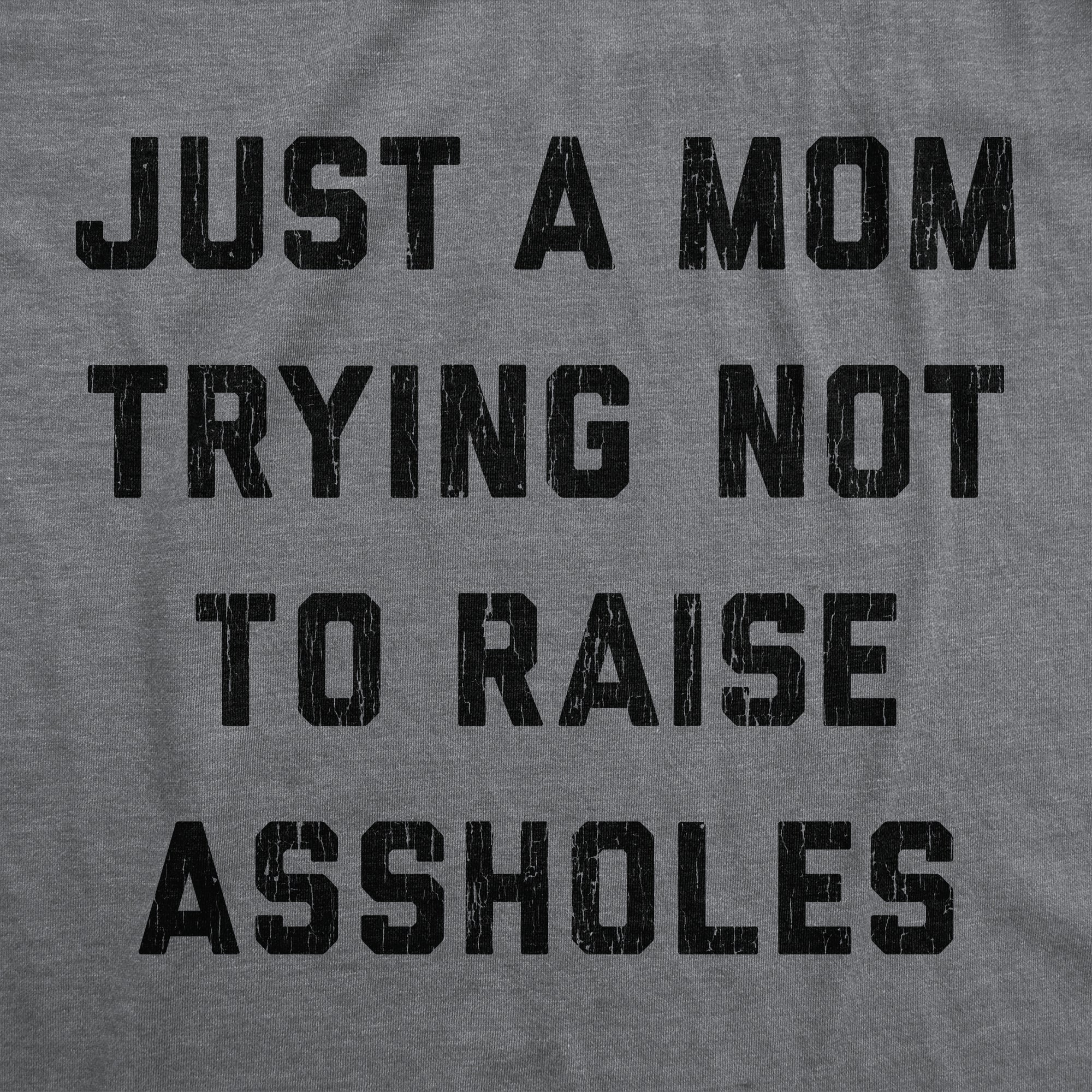 Just A Mom Trying Not To Raise Assholes Women's T Shirt
