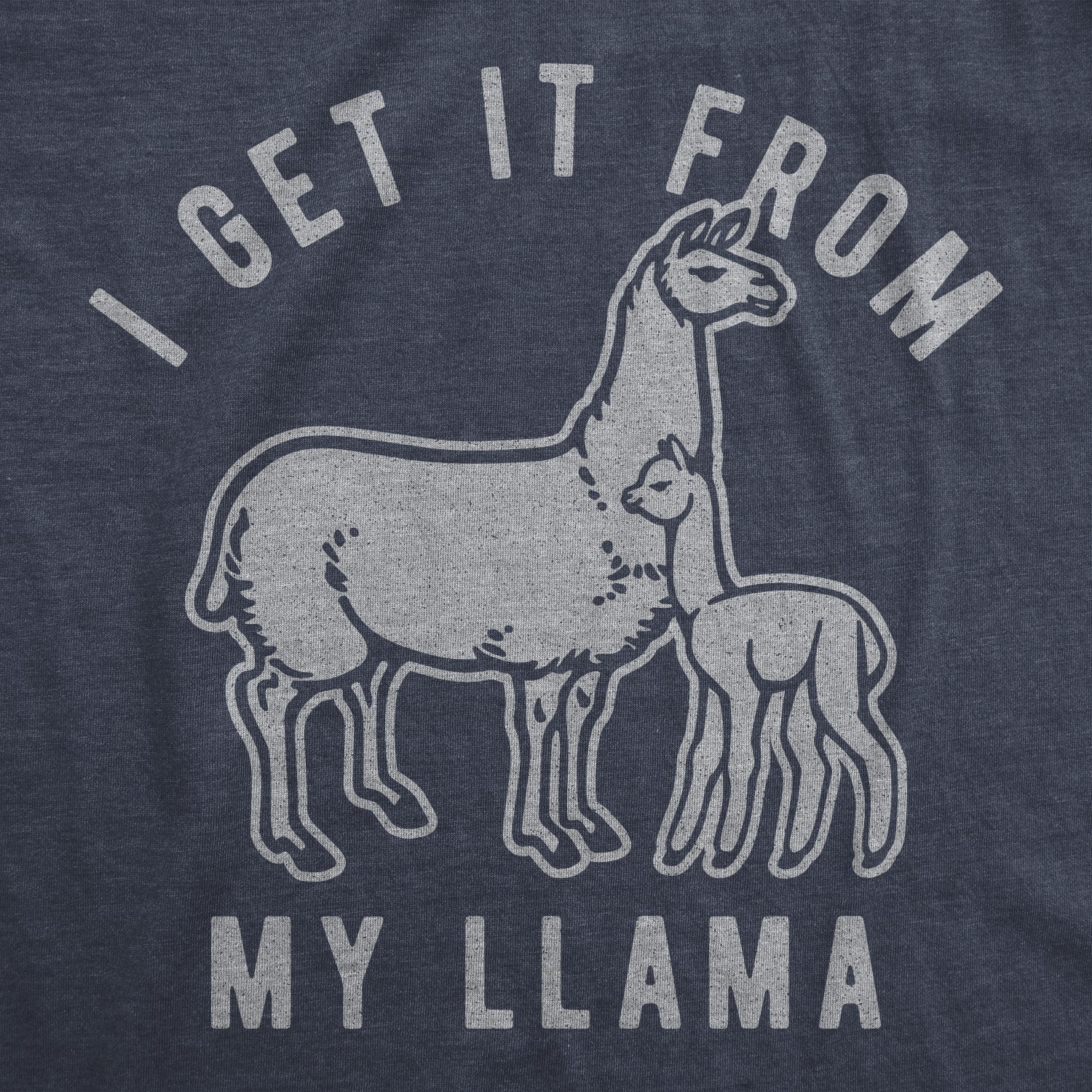 I Get It From My Llama Women's T Shirt
