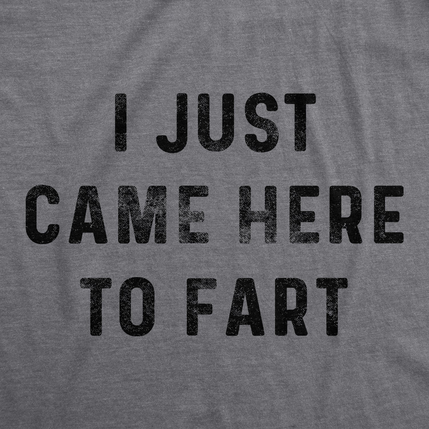 I Just Came Here To Fart Men's T Shirt