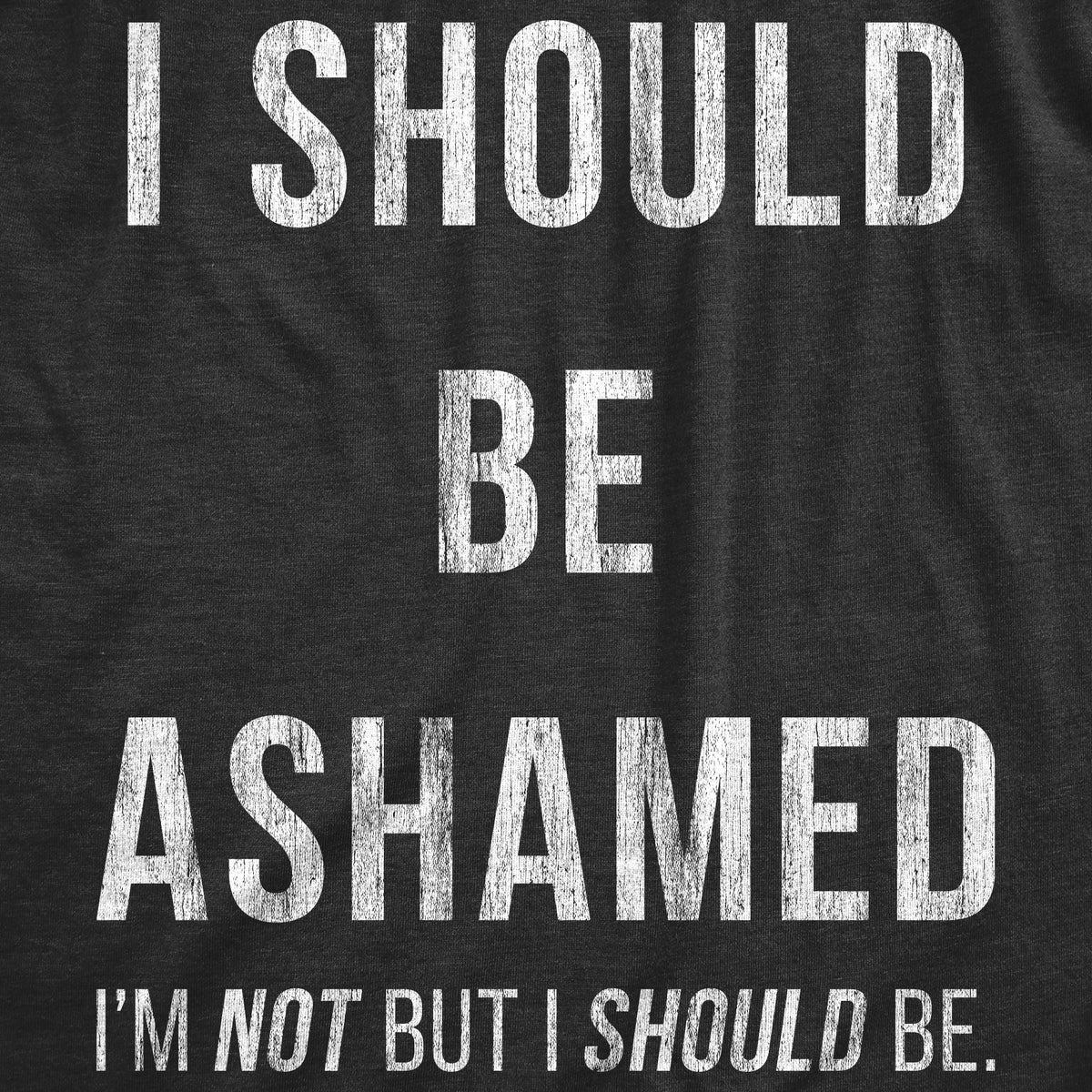 I Should Be Ashamed Women's T Shirt