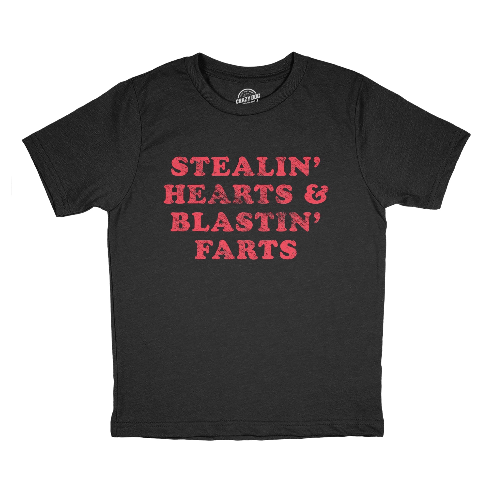 Stealin' Hearts And Blastin' Farts Youth T Shirt