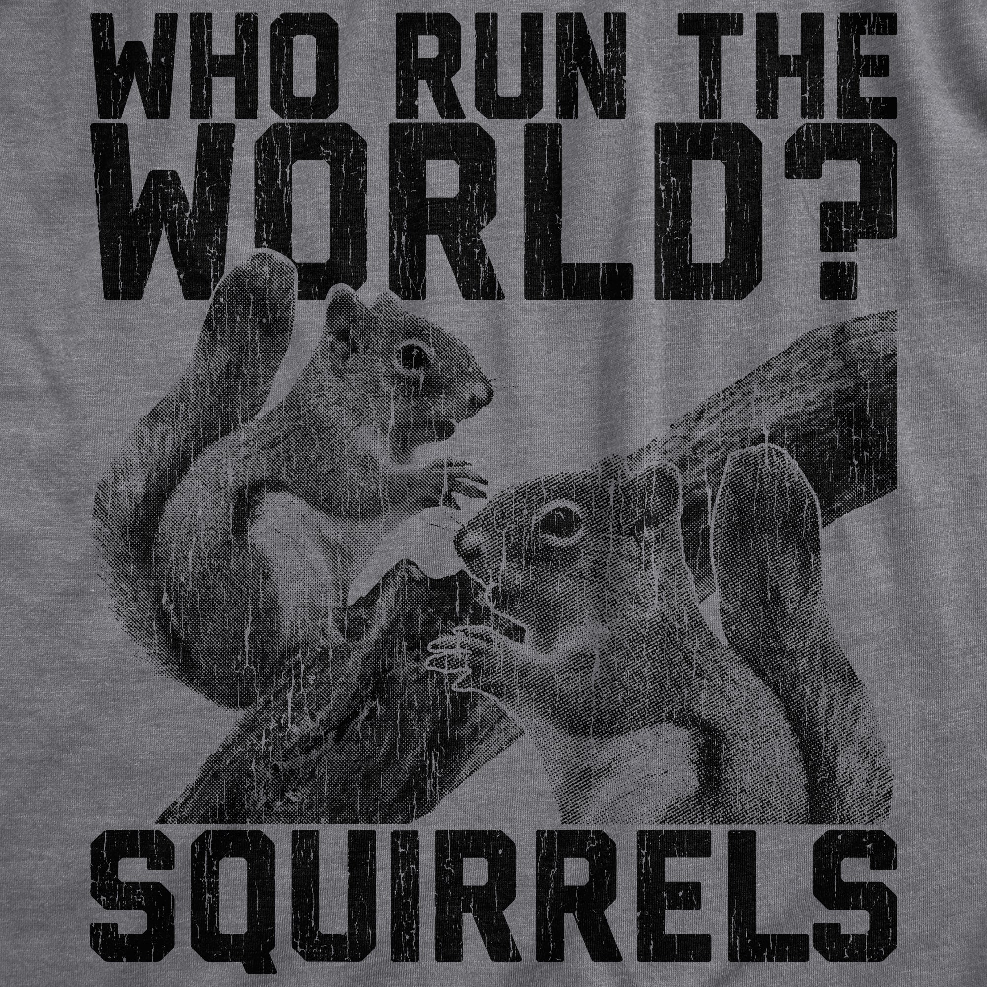 Who Run The World Squirrels Women's T Shirt