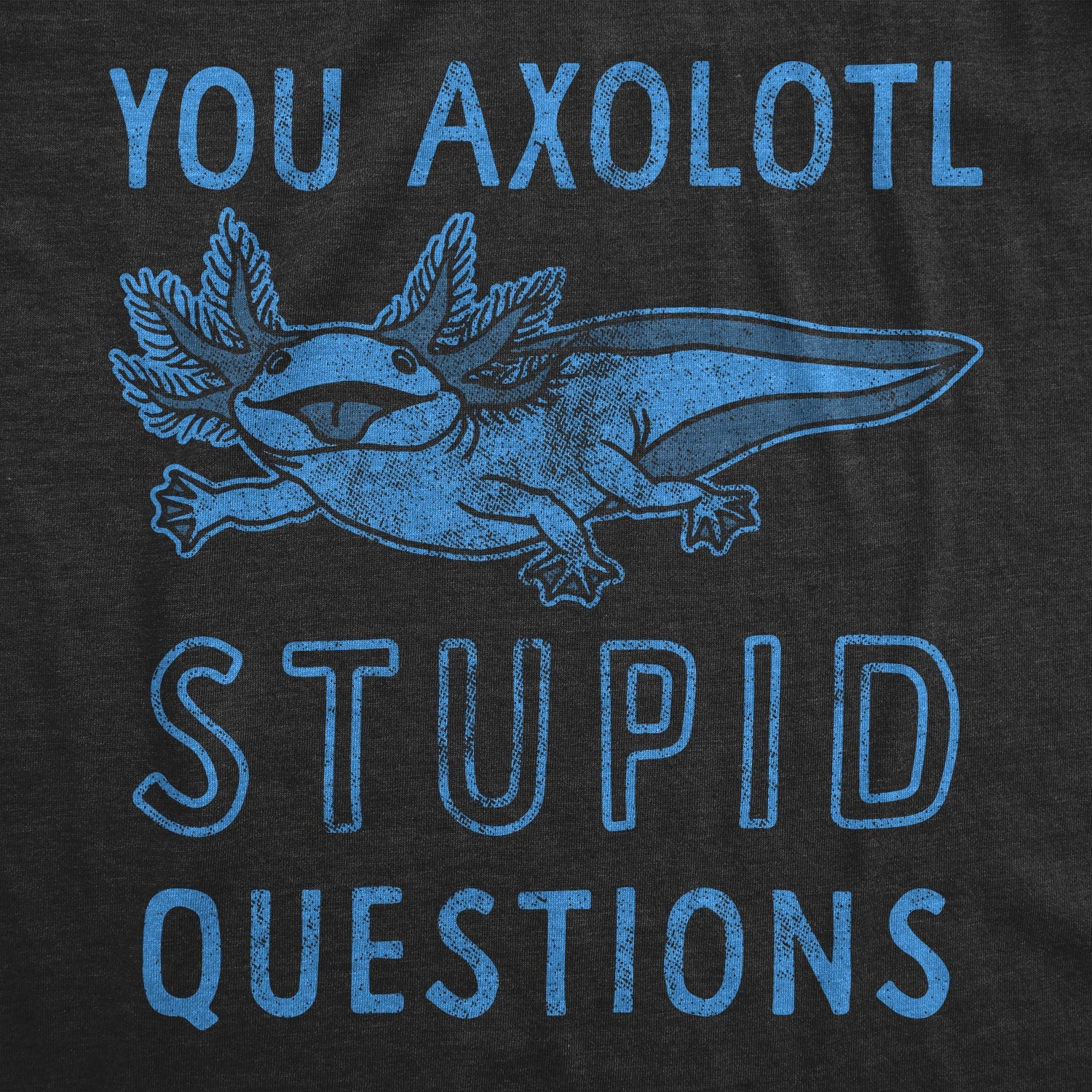 You Axolotl Stupid Questions Women's T Shirt
