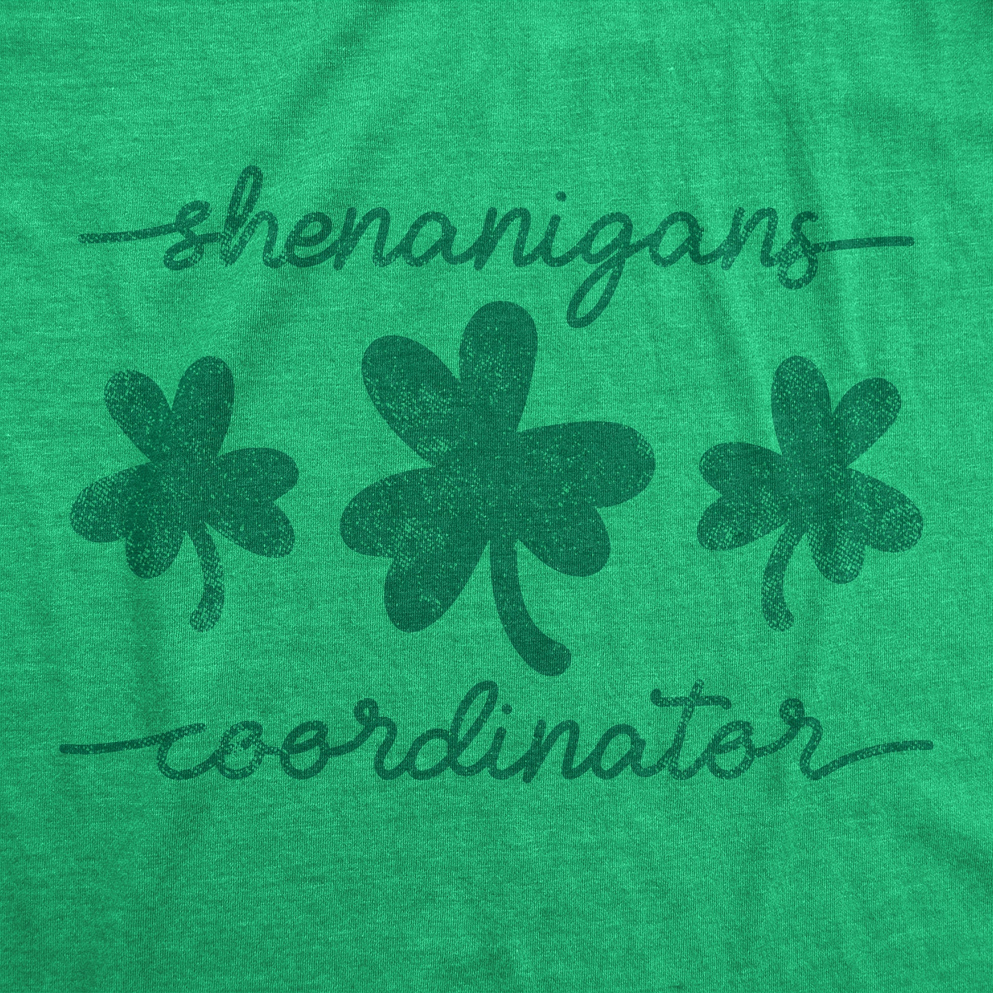 Shenanigans Coordinator Women's T Shirt