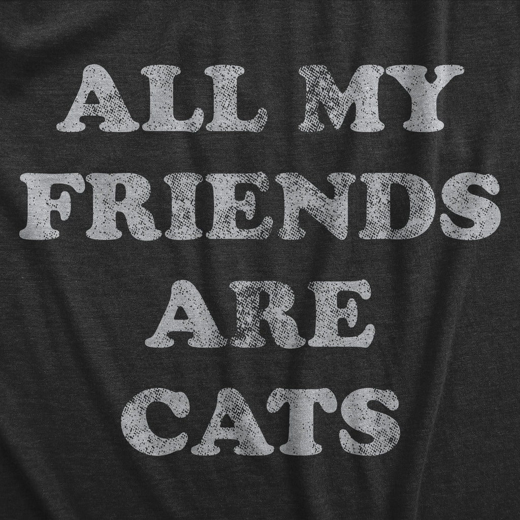 All My Friends Are Cats Women's T Shirt