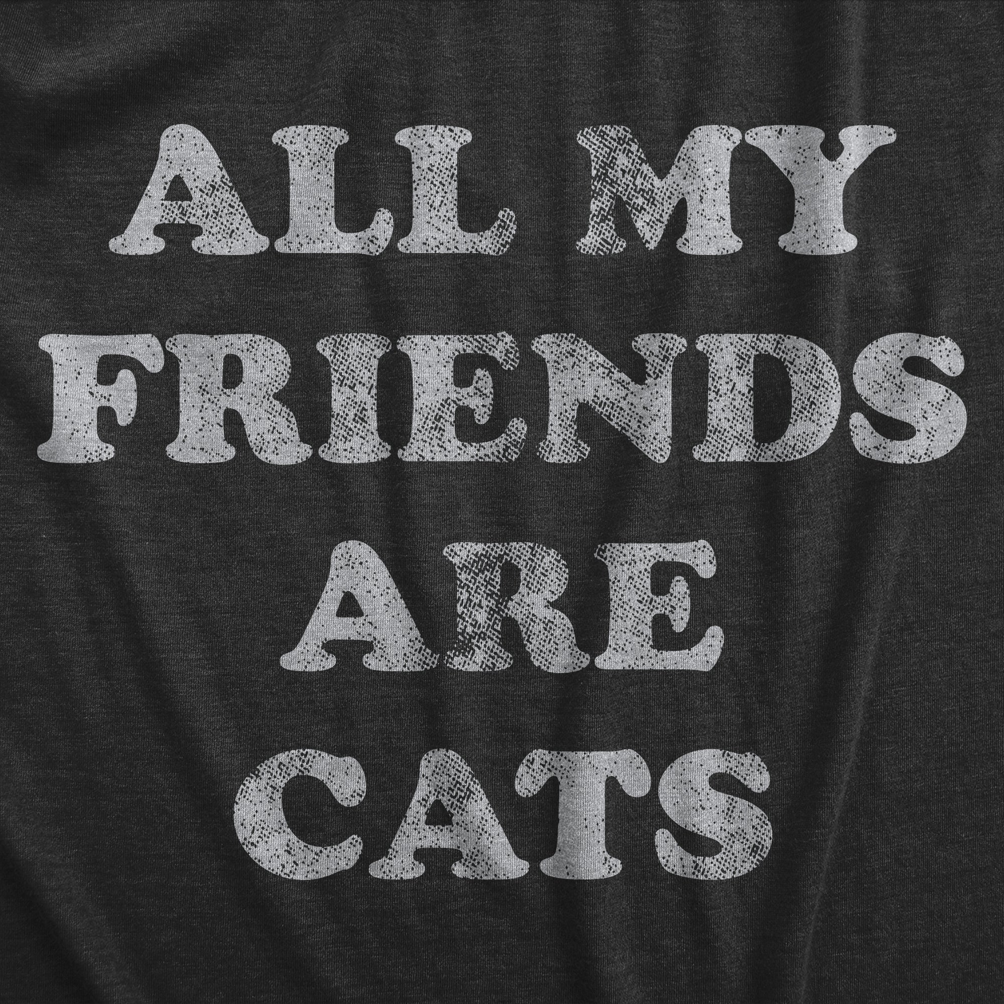 All My Friends Are Cats Women's T Shirt