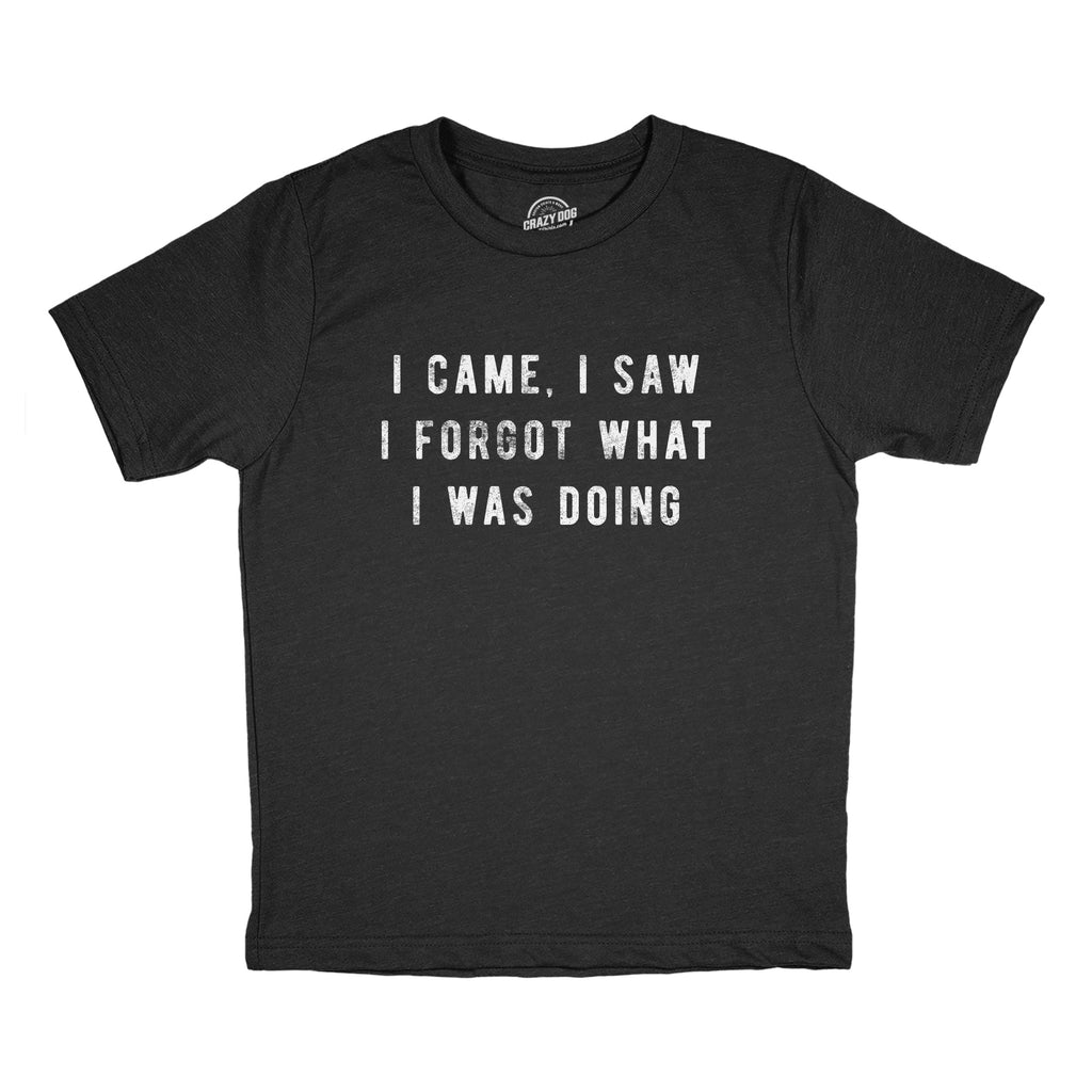 I Came I Saw I Forgot What I Was Doing Youth T Shirt