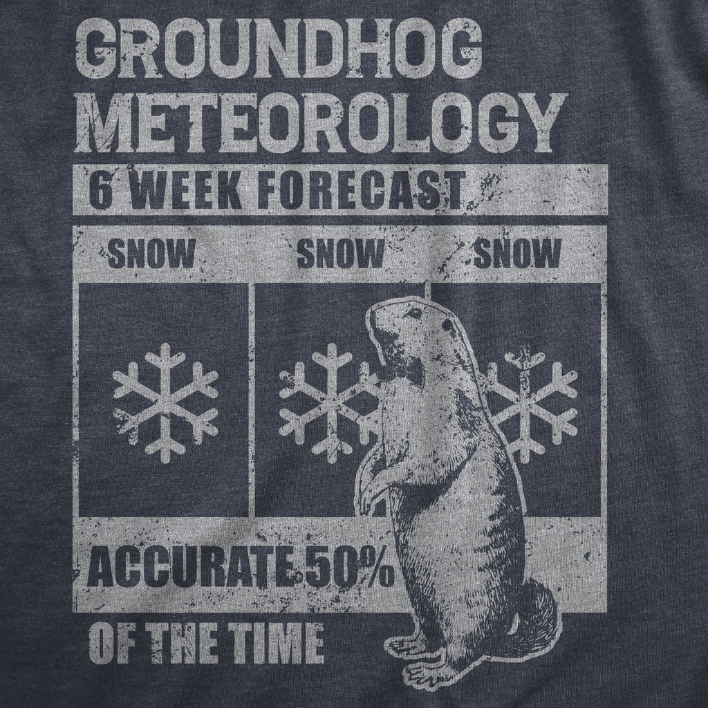 Groundhog Meteorology Men's T Shirt