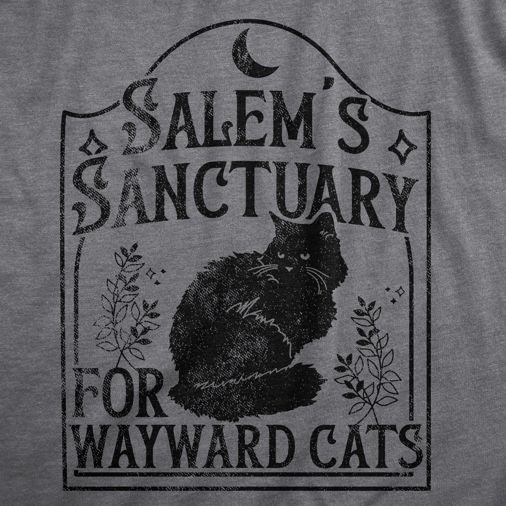 Salems Sanctuary For Wayward Cats Men's T Shirt