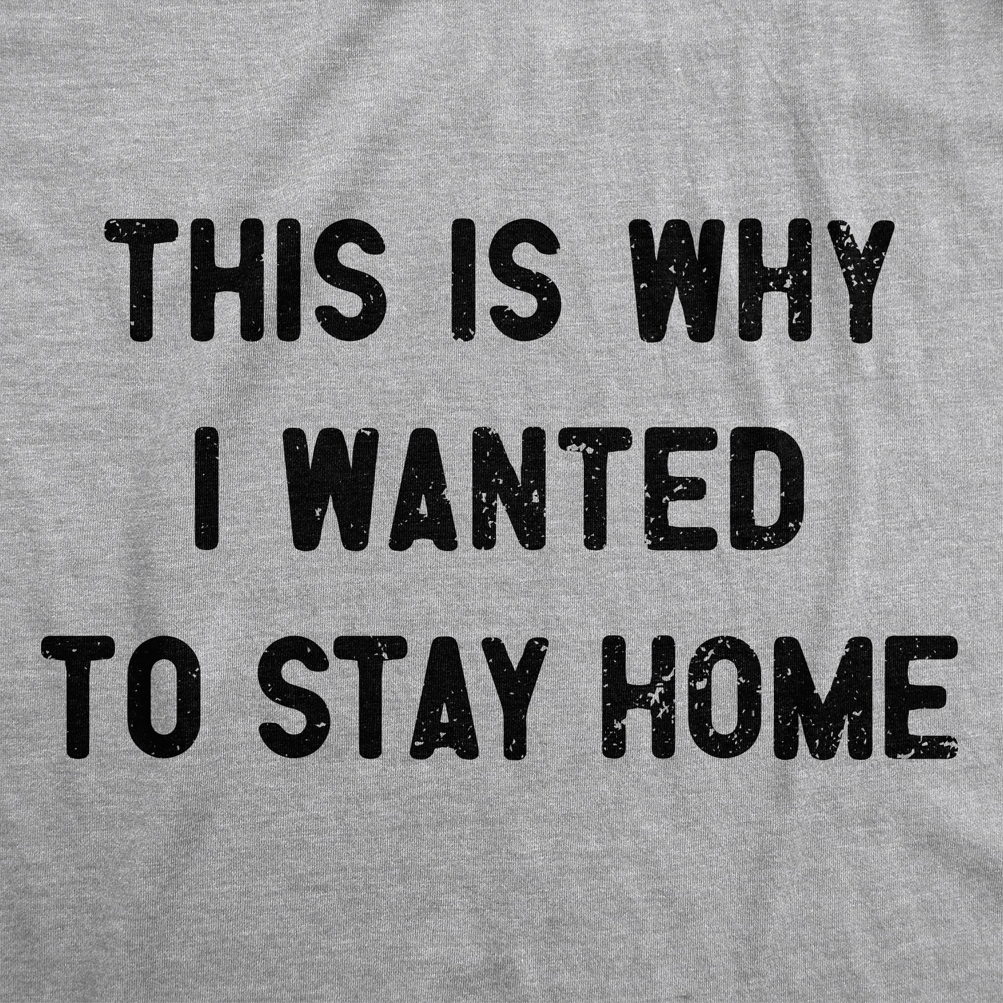 This Is Why I Wanted To Stay Home Women's T Shirt