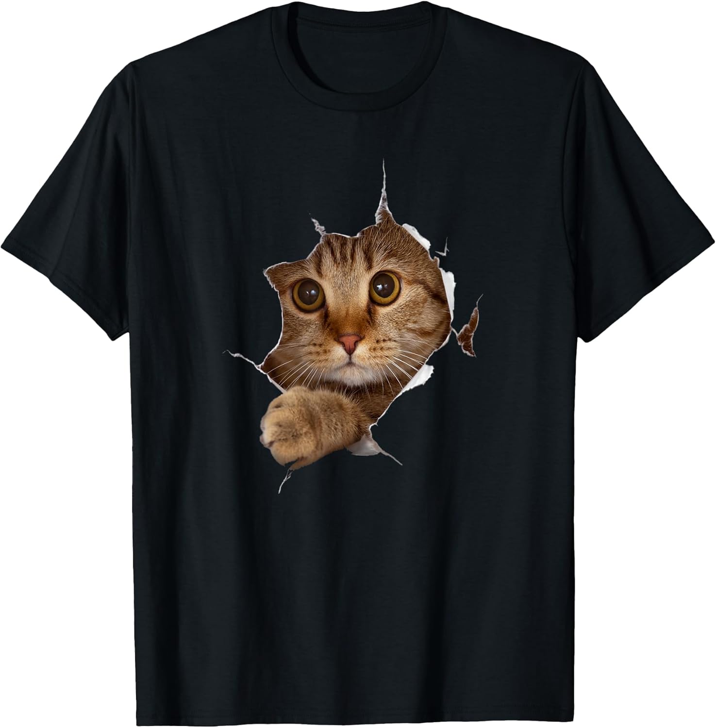 Cat Lovers T-Shirts and Gift ideas