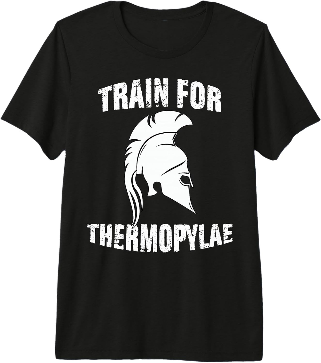 Sparta Warrior Martial Arts Gym Sparta Helmet