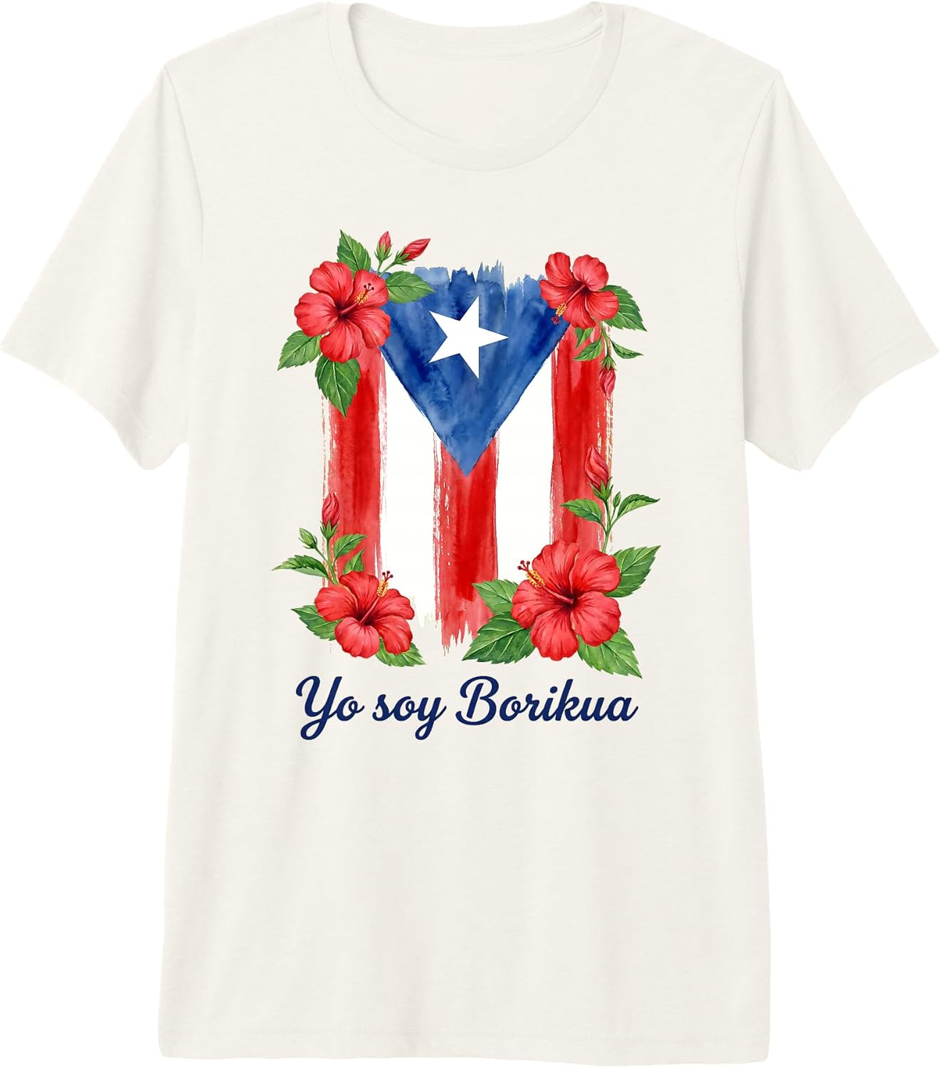 Puerto Rico Culture Boricua Heritage Art