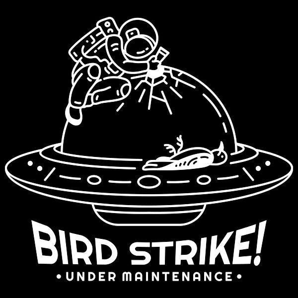 Bird Strike Ufo
