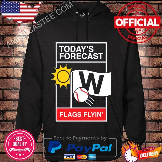 Chicago baseball weather report shirt