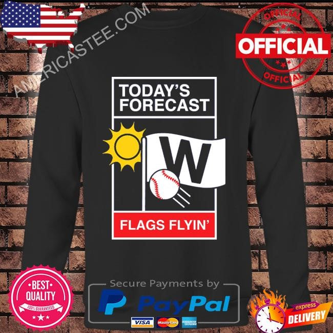 Chicago baseball weather report shirt