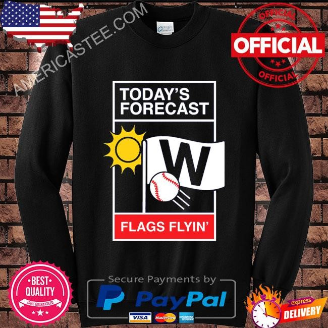 Chicago baseball weather report shirt