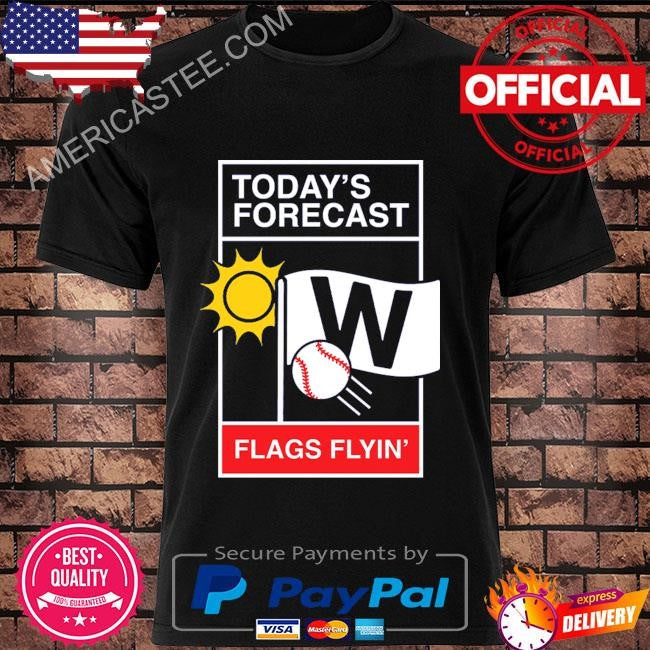 Chicago baseball weather report shirt
