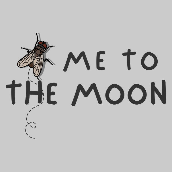 Fly Me To The Moon 3