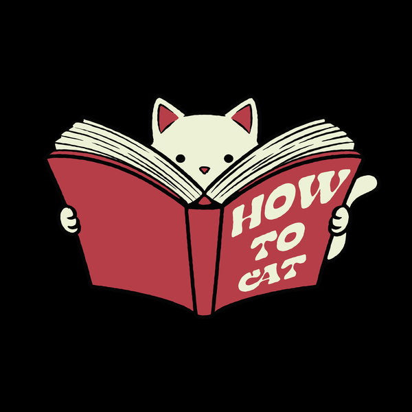 How To Cat Funny Kitten