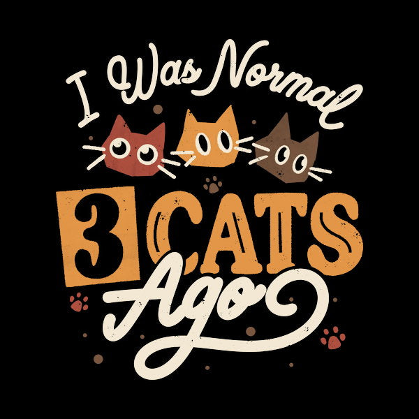 I Was Normal 3 Cats Ago