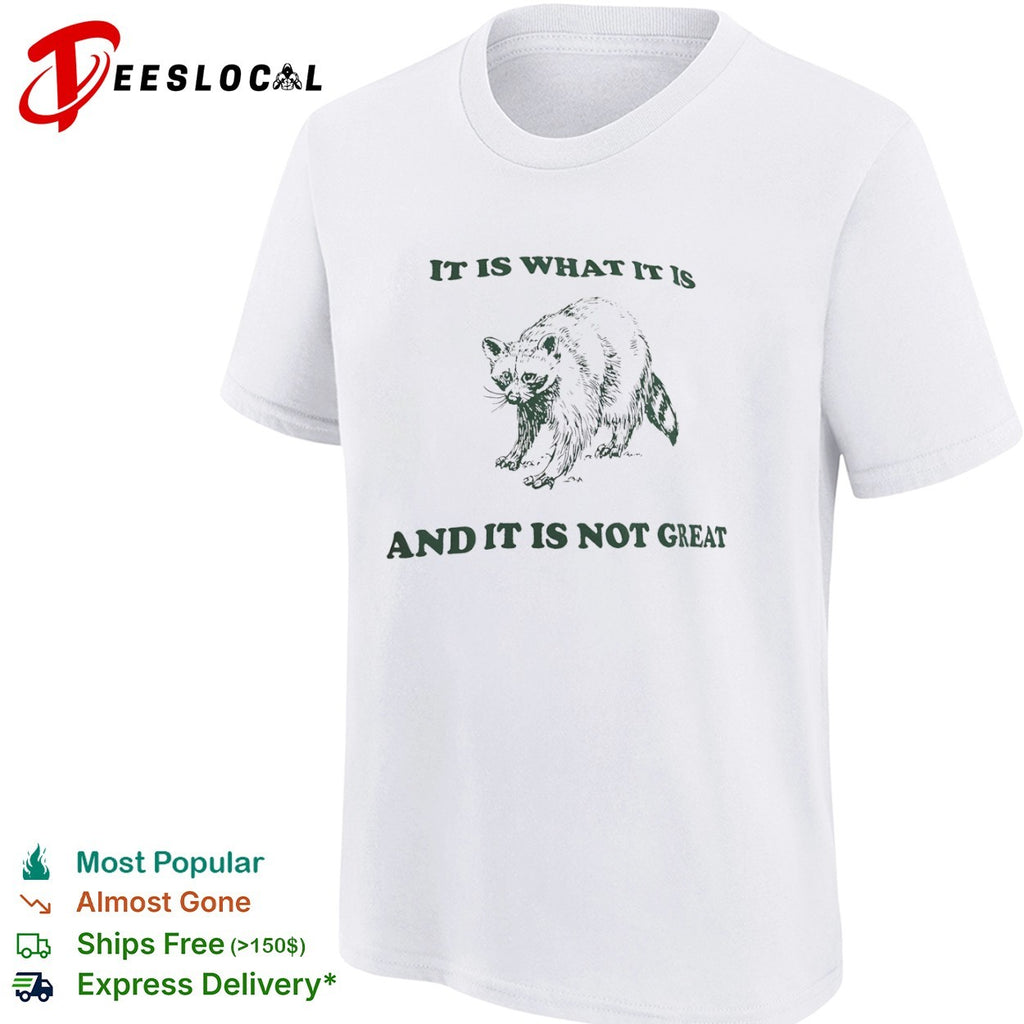 It is what it is and it is not great Raccoon shirt