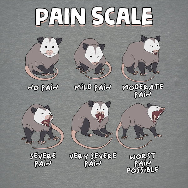 Pain Scale 2