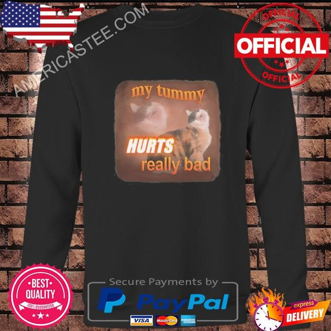 Snazzy Seagull My Tummy Hurts Really Bad Cat Shirt