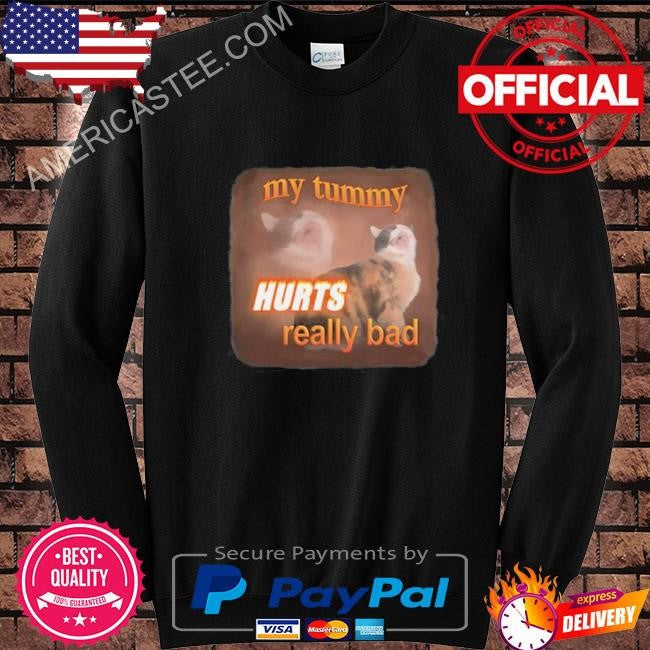 Snazzy Seagull My Tummy Hurts Really Bad Cat Shirt