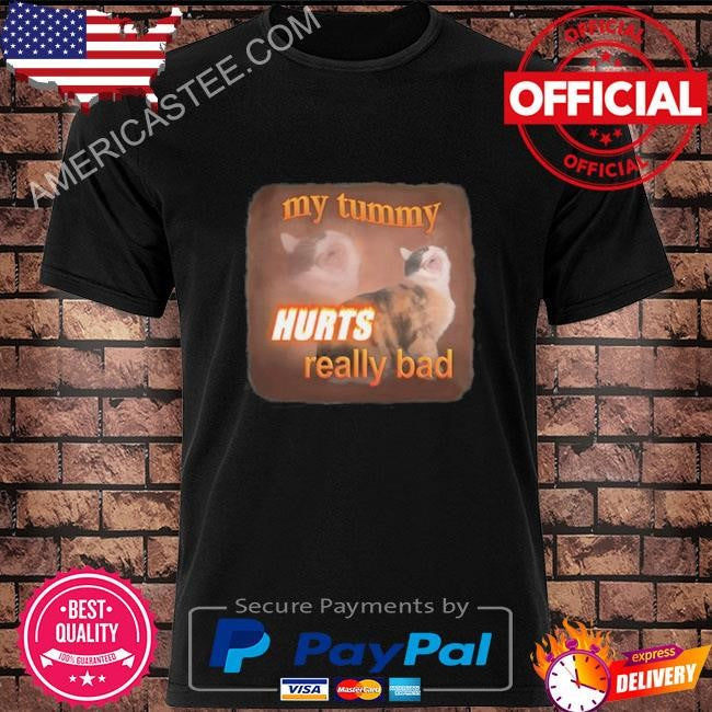 Snazzy Seagull My Tummy Hurts Really Bad Cat Shirt