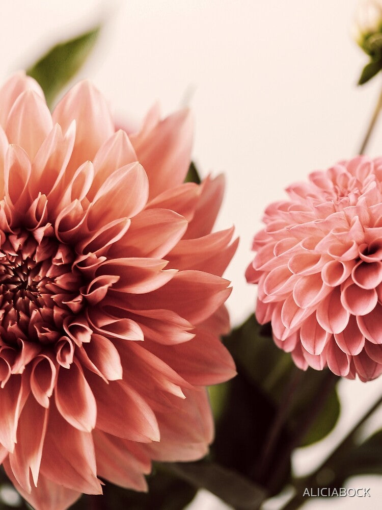 Dahlia Bouquet #1 by ALICIA BOCK T-Shirts, Hoodie, Sweatshirt | BlankRebels.com (Image 2)