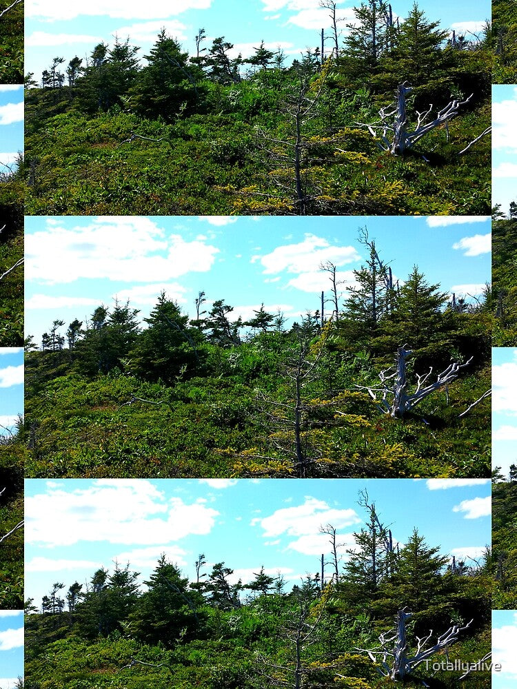 Off the Beaten Path - Coastal Forest by Totallyalive T-Shirts, Hoodie, Sweatshirt | BlankRebels.com (Image 2)