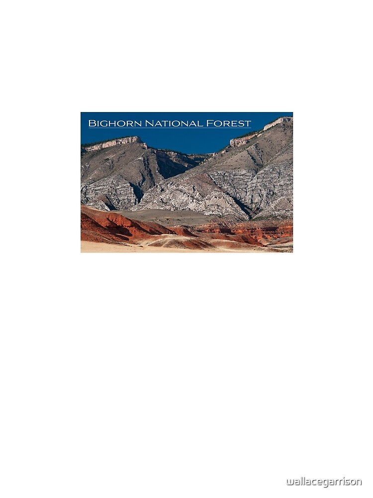 Bighorn National Forest by wallacegarrison T-Shirts, Hoodie, Sweatshirt | BlankRebels.com (Image 2)