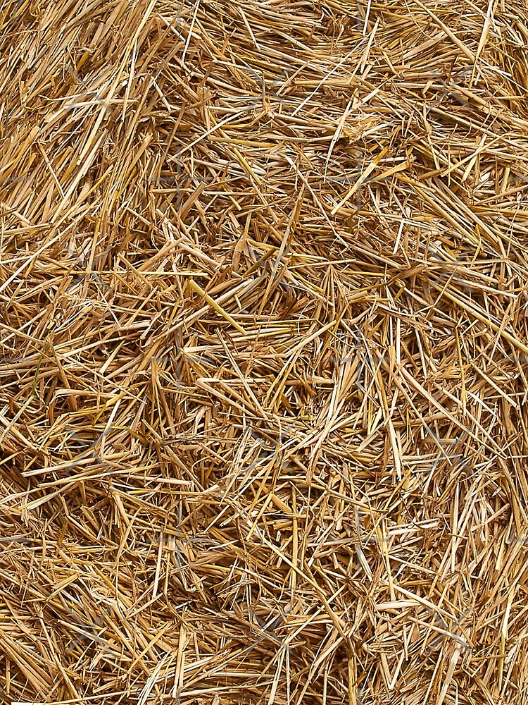 sunny natural hay, straw by Cool Stuff Galore T-Shirts, Hoodie, Sweatshirt | BlankRebels.com (Image 2)