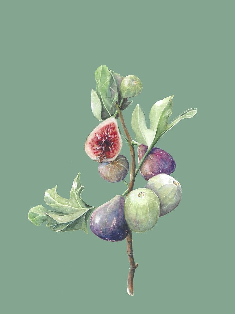 Fig season (sage green) by Naomi-Bulger T-Shirts, Hoodie, Sweatshirt | BlankRebels.com (Image 2)