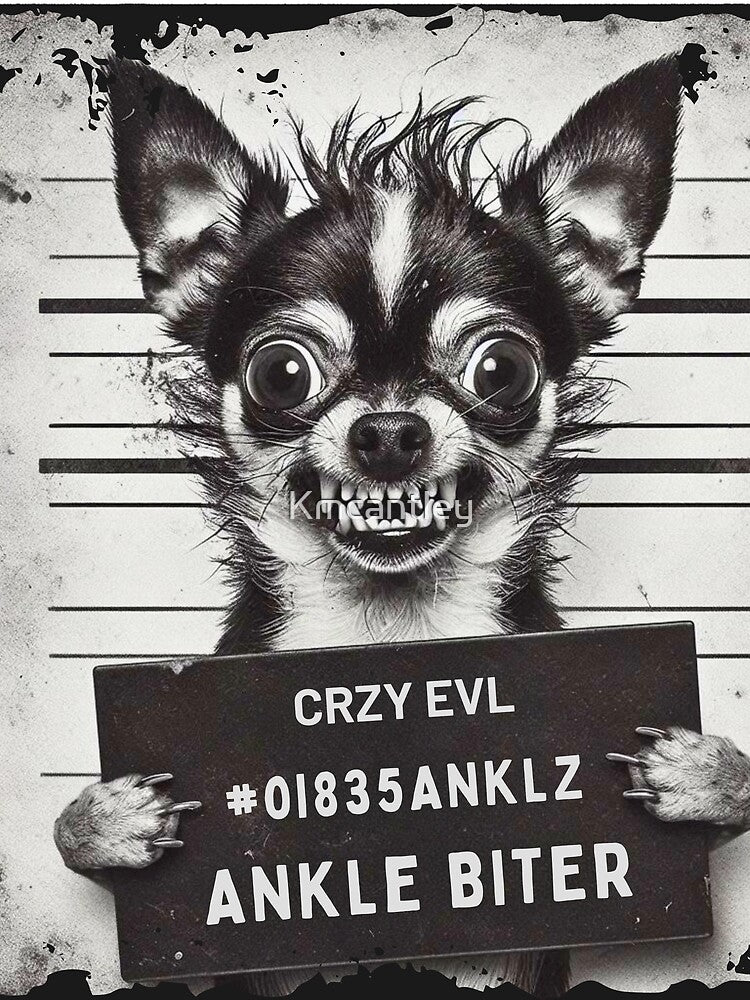 Ankle Biter Chihuahua Mugshot – Funny Dog Meme Design by Kmcantley