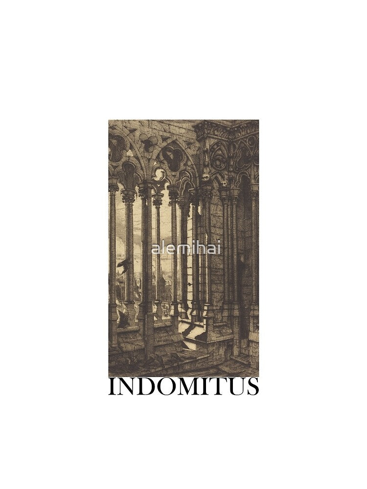 INDOMITVS by alemihai T-Shirts, Hoodie, Sweatshirt | BlankRebels.com (Image 2)