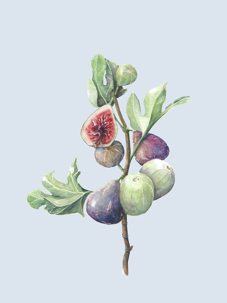 Fig season (winter sky) by Naomi-Bulger T-Shirts, Hoodie, Sweatshirt | BlankRebels.com (Image 2)