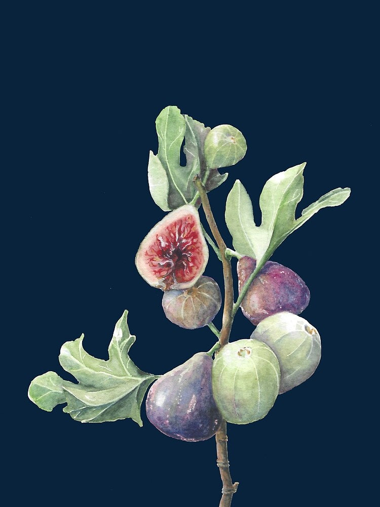 Fig season (inky blue) by Naomi-Bulger T-Shirts, Hoodie, Sweatshirt | BlankRebels.com (Image 2)