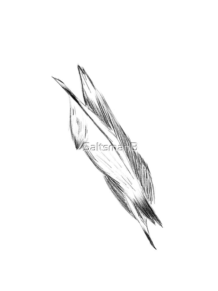 Feathers by Brush of the Grove T-Shirts, Hoodie, Sweatshirt | BlankRebels.com (Image 2)