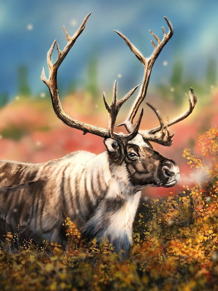 Southern Mountain Caribou by alandodrawing T-Shirts, Hoodie, Sweatshirt | BlankRebels.com (Image 2)
