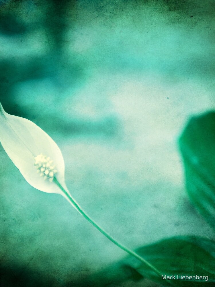Flower Grunge In Green by Mark Liebenberg T-Shirts, Hoodie, Sweatshirt | BlankRebels.com (Image 2)