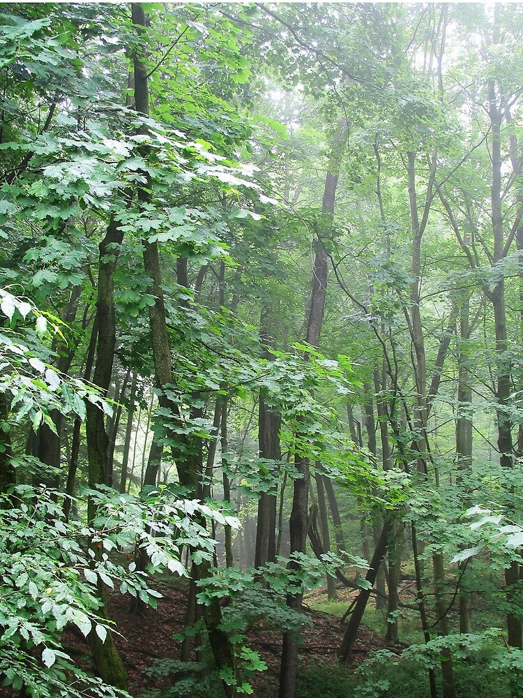 Green Sanctuary by Kathilee T-Shirts, Hoodie, Sweatshirt | BlankRebels.com (Image 2)