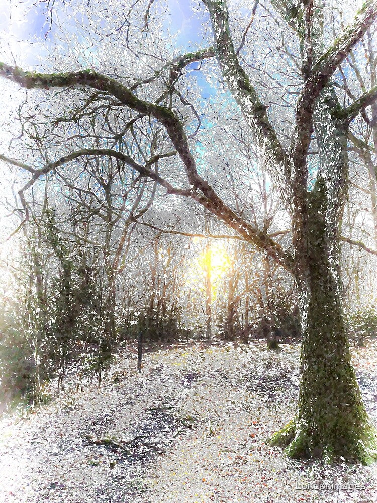 Snow Forest Art by Londonimages T-Shirts, Hoodie, Sweatshirt | BlankRebels.com (Image 2)