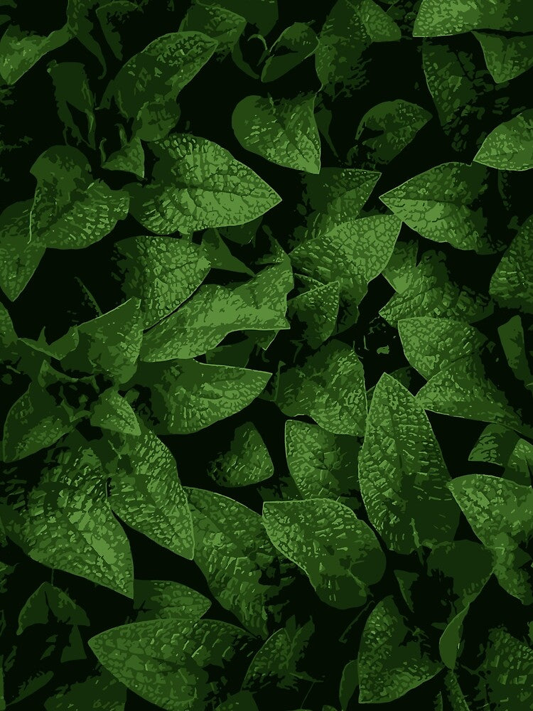 Green Leaf Illustration:- Green Leaf Art-Forest Art Print by typoinspired T-Shirts, Hoodie, Sweatshirt (Image 2)