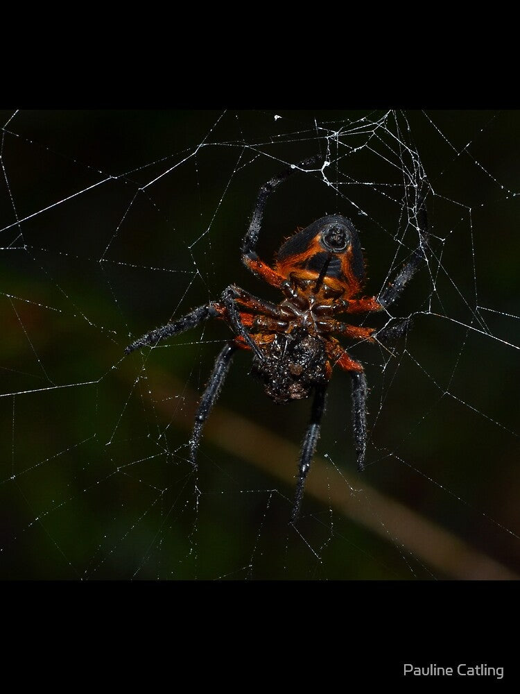 Orb Weaver Spider by Pauline Catling T-Shirts, Hoodie, Sweatshirt | BlankRebels.com (Image 2)