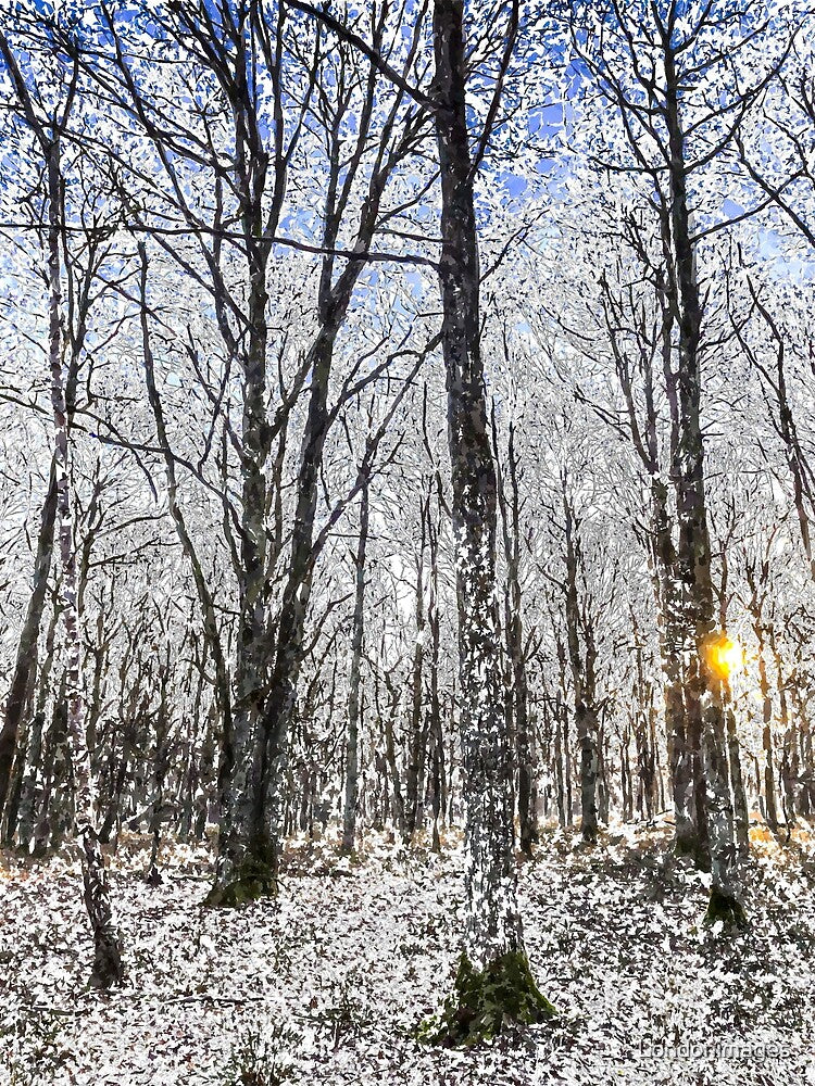 Sunrise Snow Forest Art by Londonimages T-Shirts, Hoodie, Sweatshirt | BlankRebels.com (Image 2)