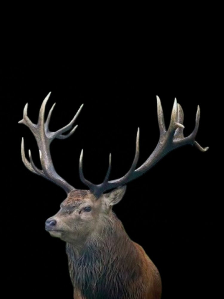 Red deer stag #2 by The Adventure Never Ends !!! T-Shirts, Hoodie, Sweatshirt | BlankRebels.com (Image 2)