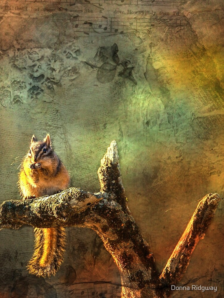 Chipmunk on a Branch by montanaartist T-Shirts, Hoodie, Sweatshirt | BlankRebels.com (Image 2)
